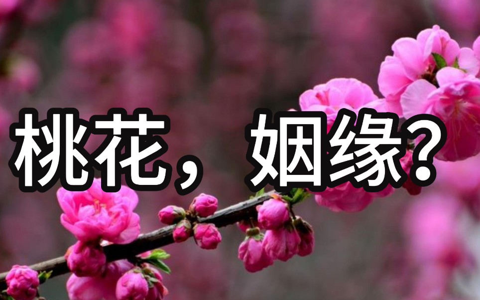 e75592888ec3698d1bad10156a85dd70700aae11.jpg e75592888ec3698d1bad10156a85dd70700aae11.jpg