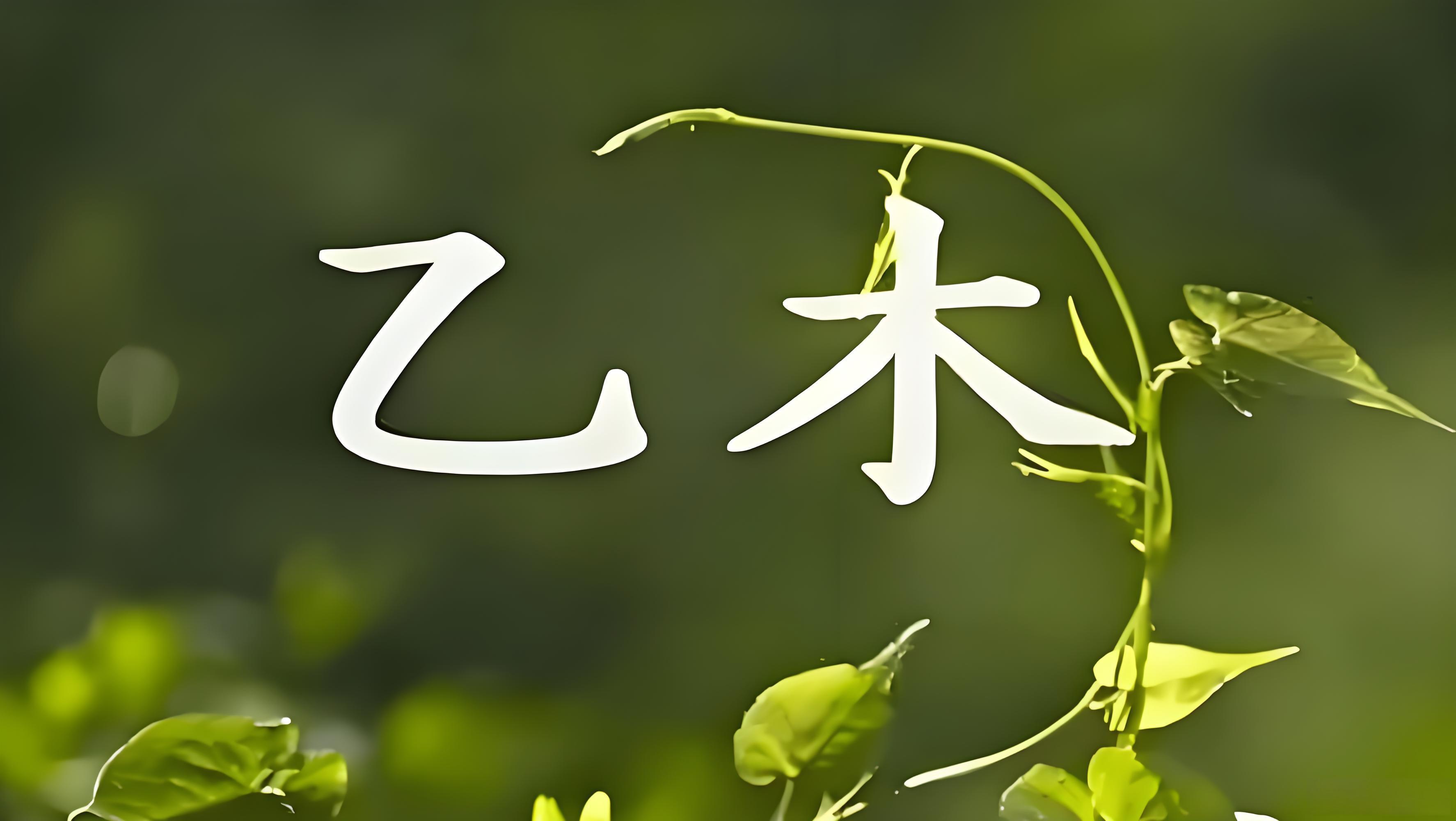 李昱山老师:2026丙午年乙木日元运势解析